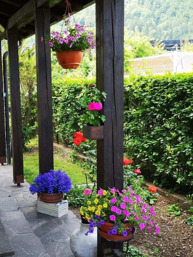 Appartamenti Casa Viviana Pergine Valsugana Exteriör bild