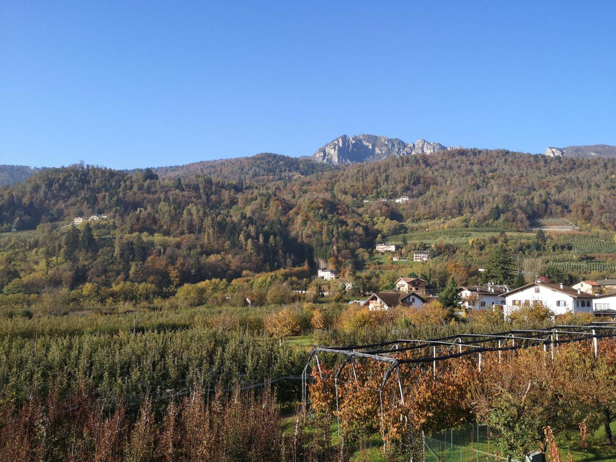 Appartamenti Casa Viviana Pergine Valsugana Exteriör bild